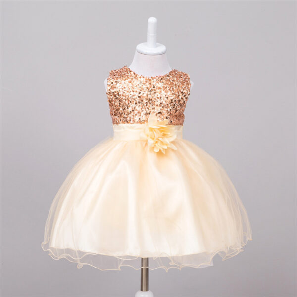 Baby Sequin Dress Flower Girl Wedding Princess Dress - Image 6
